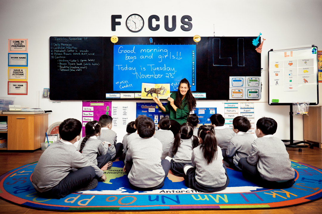 枫叶小熊小学2024申请指南