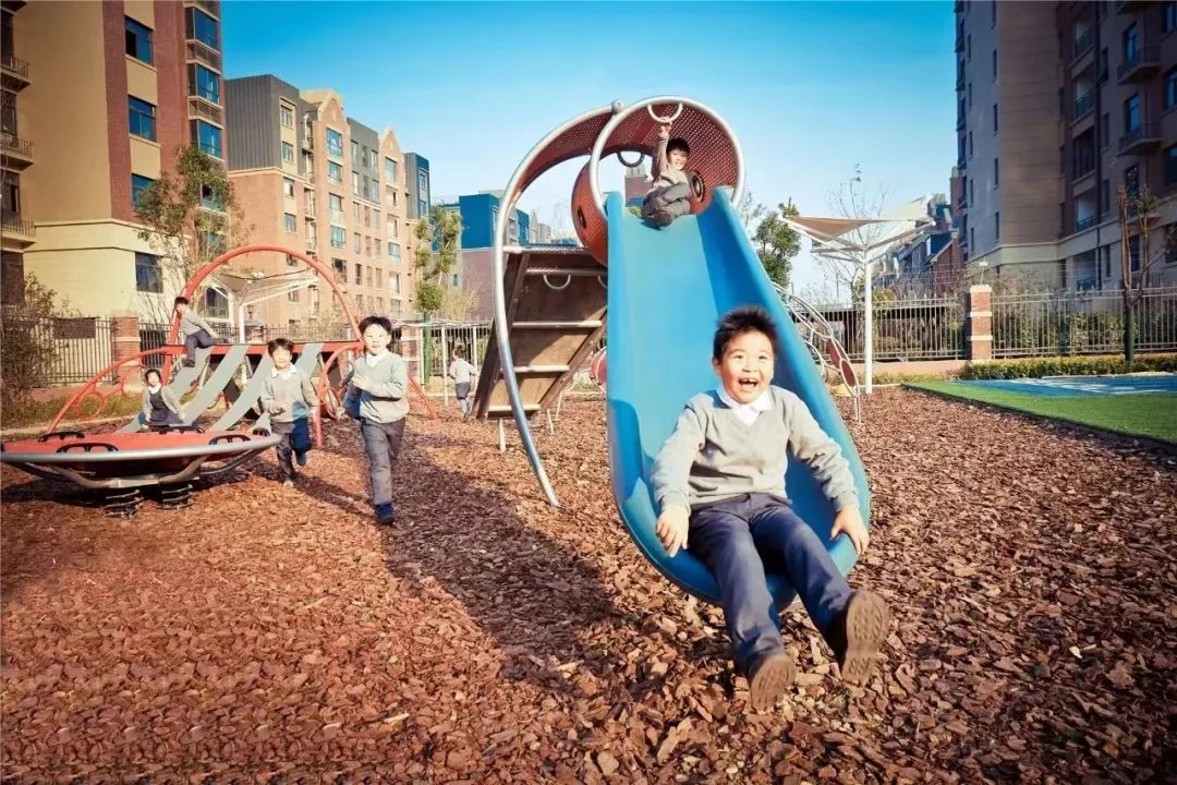 枫叶小熊小学2024申请指南