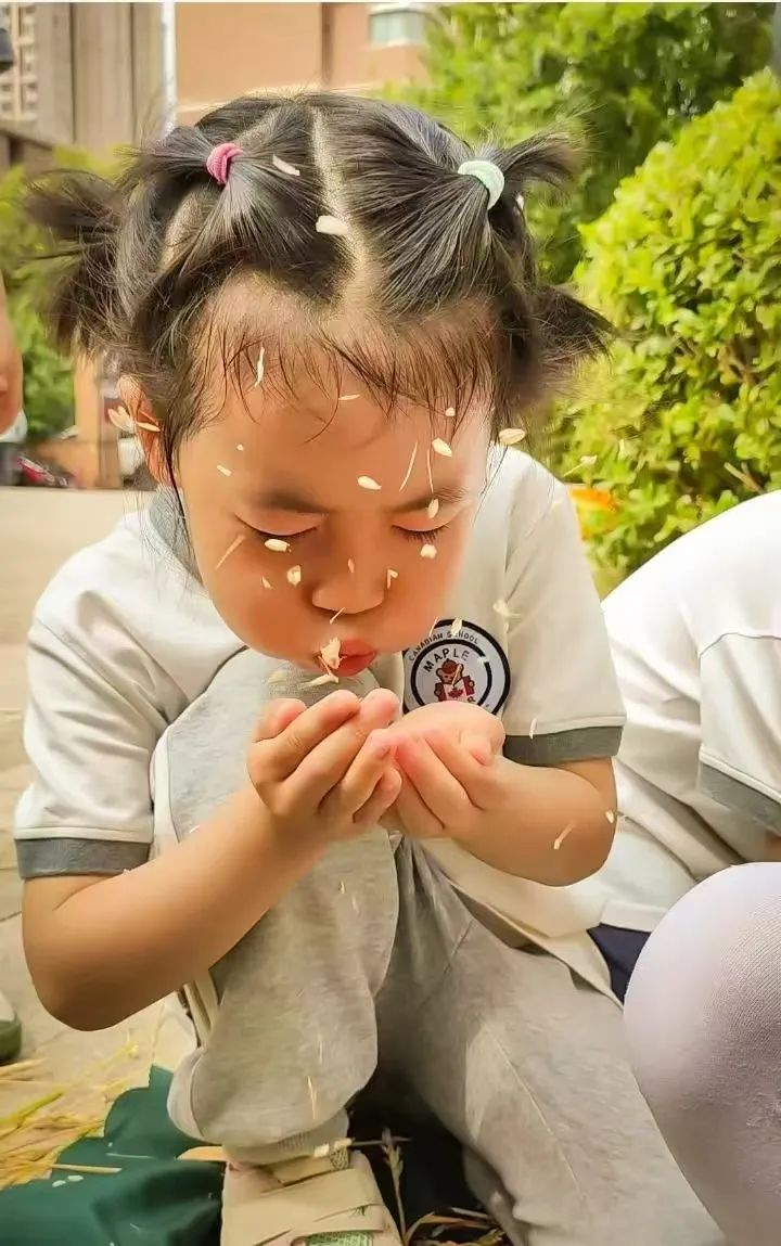 教师出国研学系列02一场教育的童话之旅
