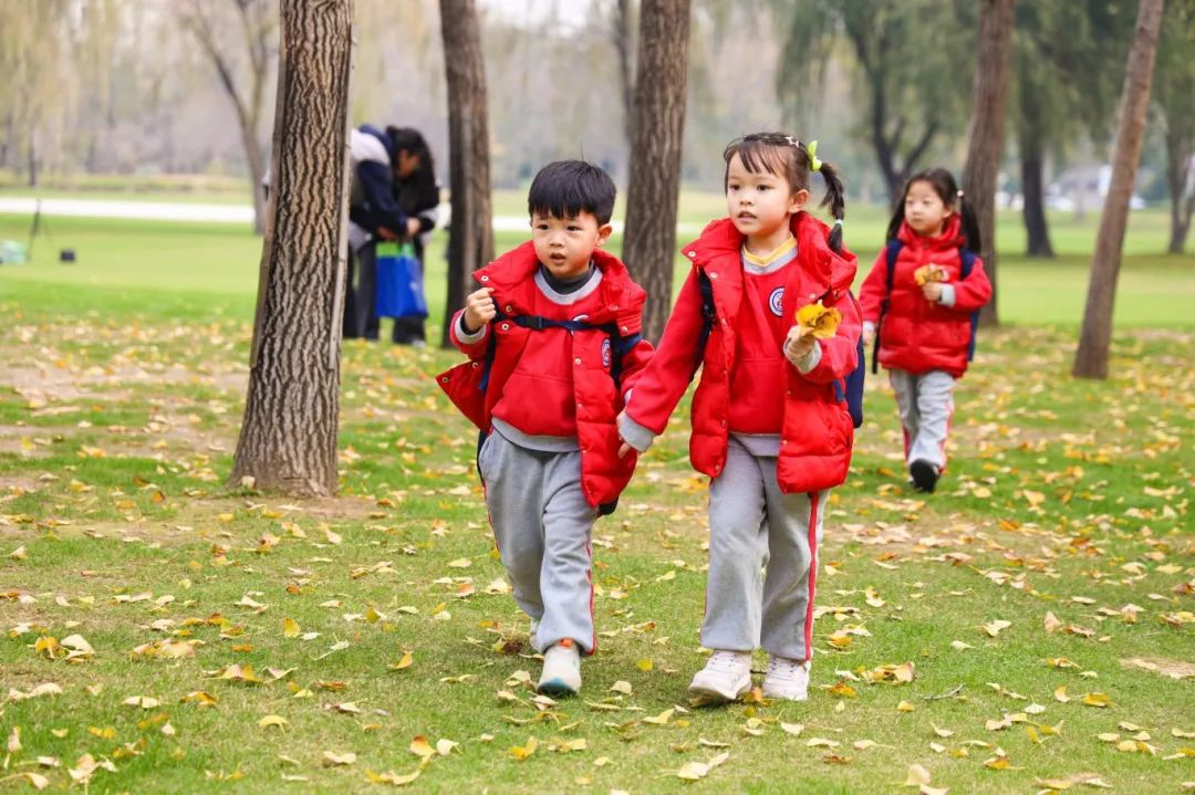 出发！去我们的森林幼儿园！