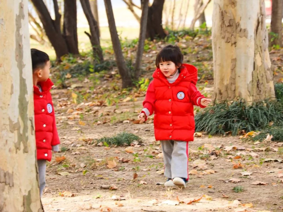 出发！去我们的森林幼儿园！