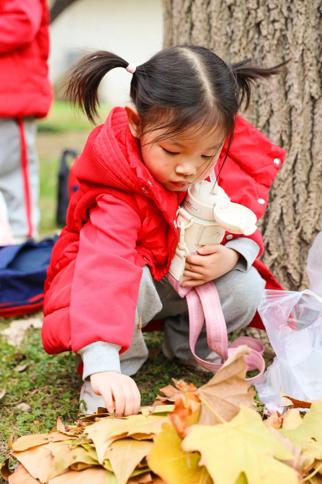 出发！去我们的森林幼儿园！