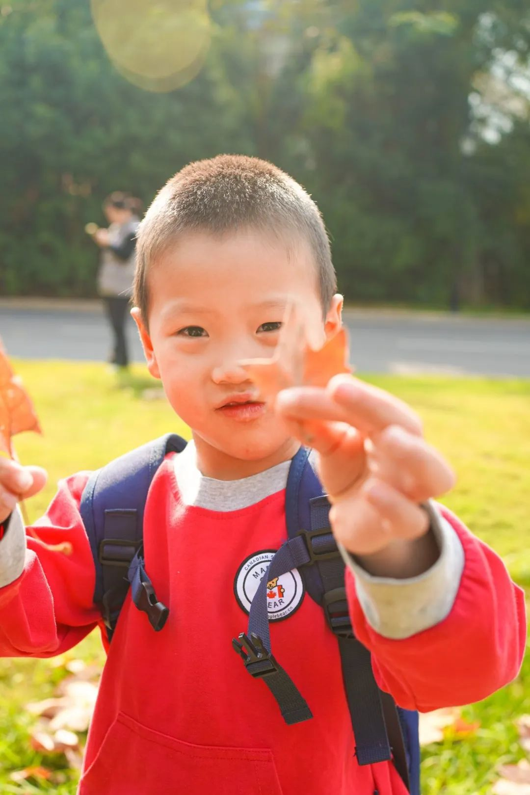 出发！去我们的森林幼儿园！