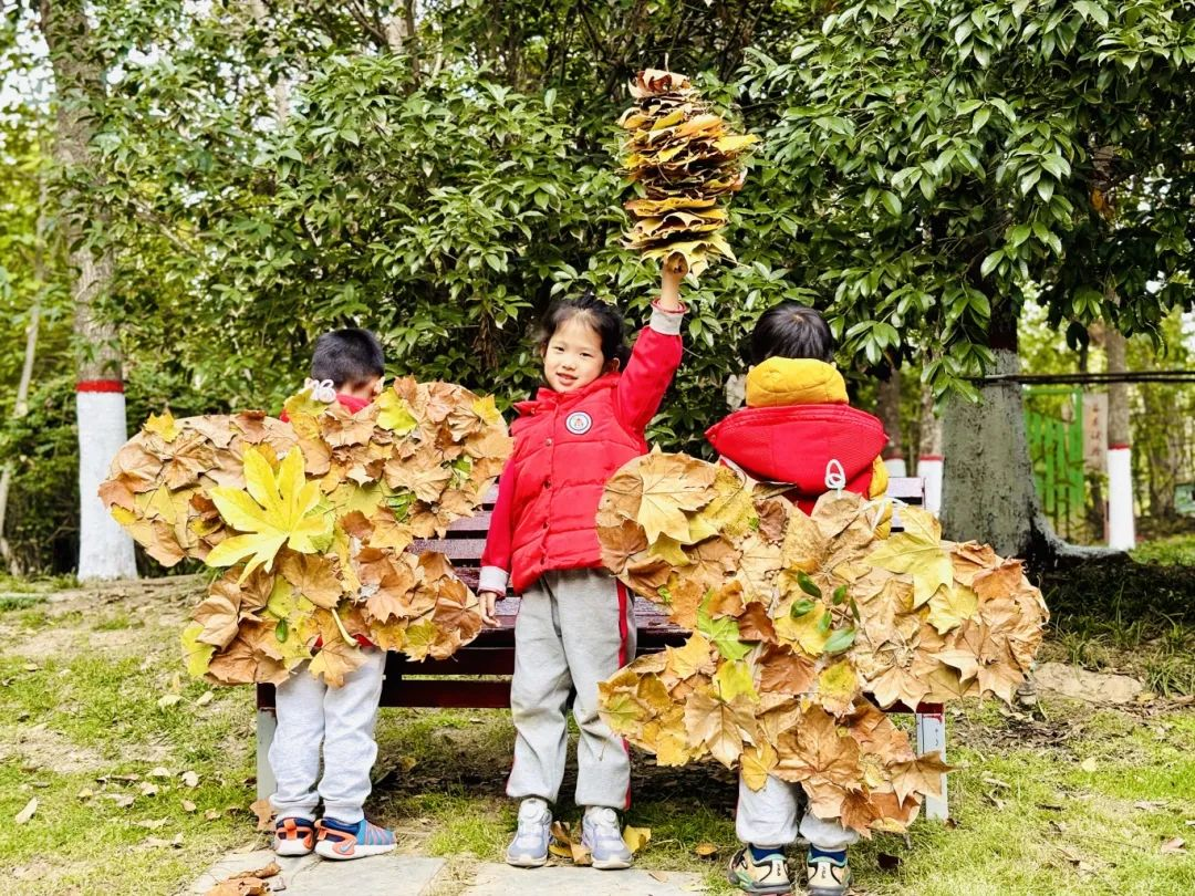 出发！去我们的森林幼儿园！
