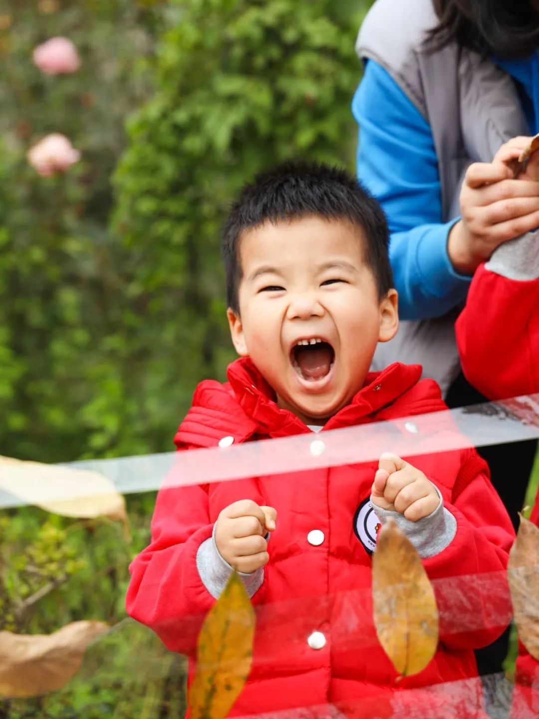 出发！去我们的森林幼儿园！