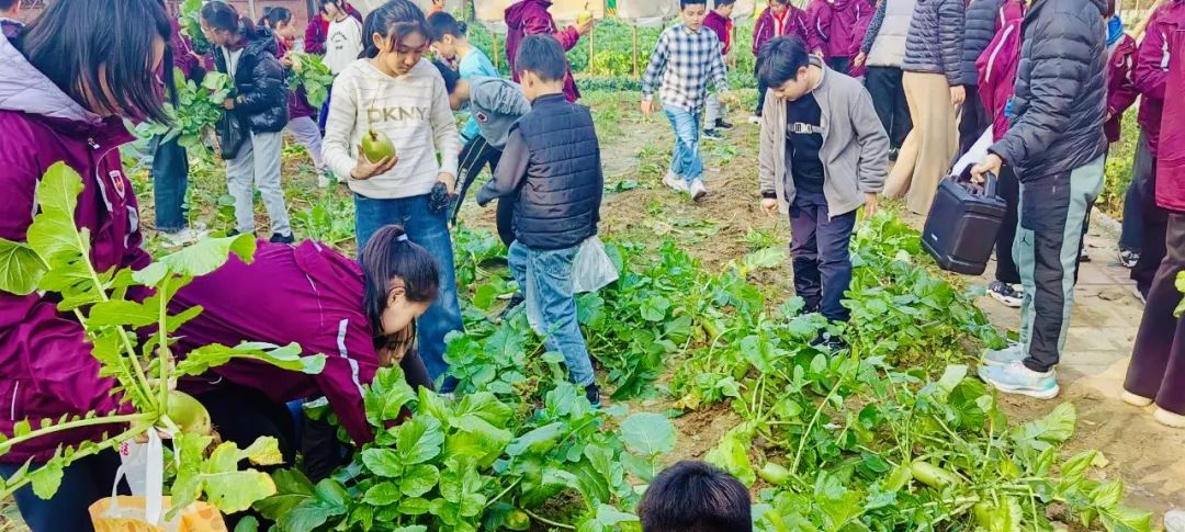 11月也有在好好长大，感受时光里的独特韵味