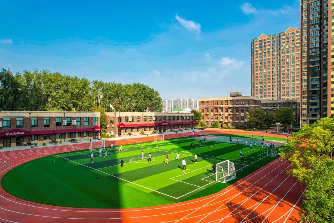 枫叶小熊小学英语浸入式多元体验营开启报名！