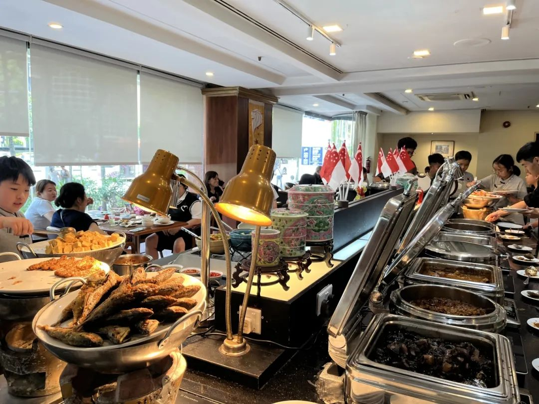 狮城印记：枫叶小熊的六色成长光谱