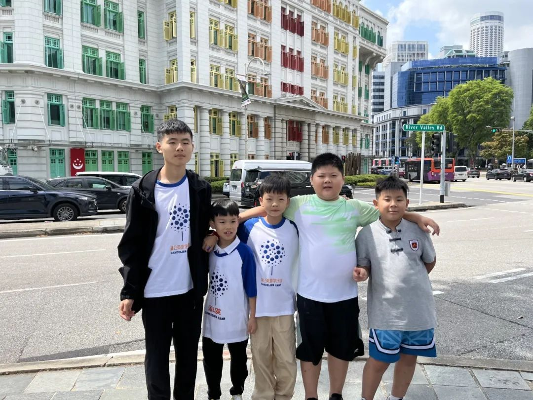 狮城印记：枫叶小熊的六色成长光谱