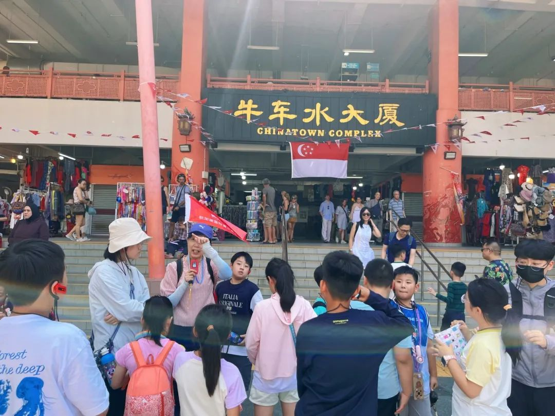 狮城印记：枫叶小熊的六色成长光谱