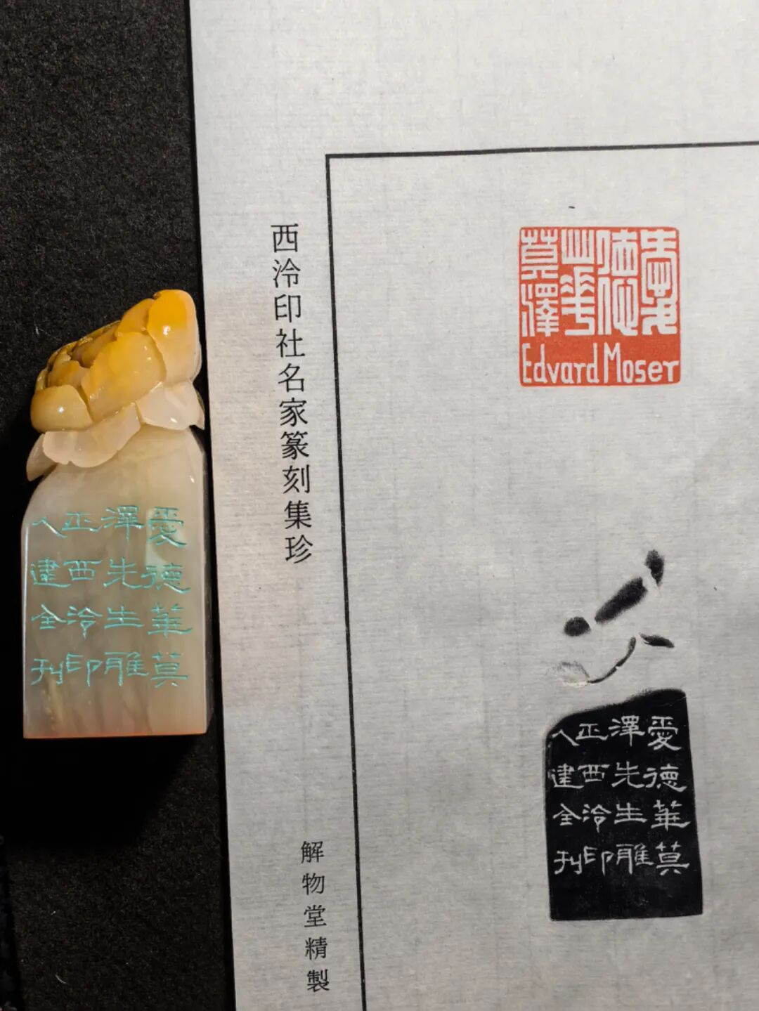 当诺奖之光照亮枫叶小熊小学