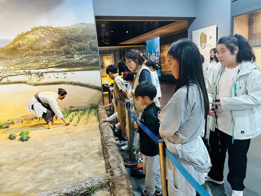 当课堂走向星城山水｜在长沙的烟火与山河里生长